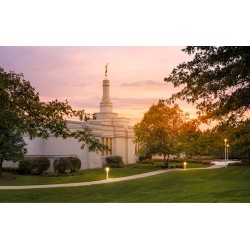 Palmyra New York Temple Recommend Holder